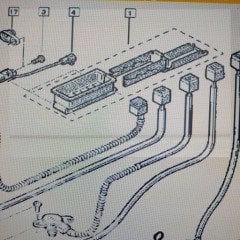 OTOM.ŞANZ.KAPAK TK.MGN