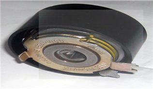 EKSANTRİK GERGİ RULMANI CLIO III-LGN II -III-MGN II III-FULENCE-MODUS-SCENIC II-III 1.6 16V(K4M 8