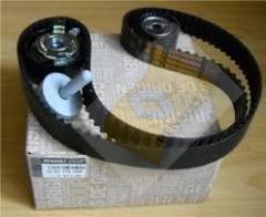 TRIGER EKSANTRİK GERGİ KİTİ CLIO II-III-MGN I-II-III-LGN I-II-SCENIC 1.4-1.6 (K4M-K4J)7701477014-130C17529R-130C10178R